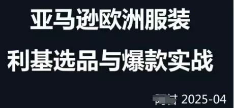 跨境电商选品案例24-25年，聚焦跨境电商选品策略与运营优化，助力卖家挖掘蓝海市场-创享联盟-猴哥资源发布站