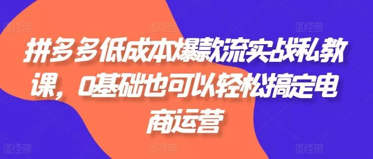 拼多多低成本爆款流实战私教课，0基础也可以轻松搞定电商运营-创享联盟-猴哥资源发布站